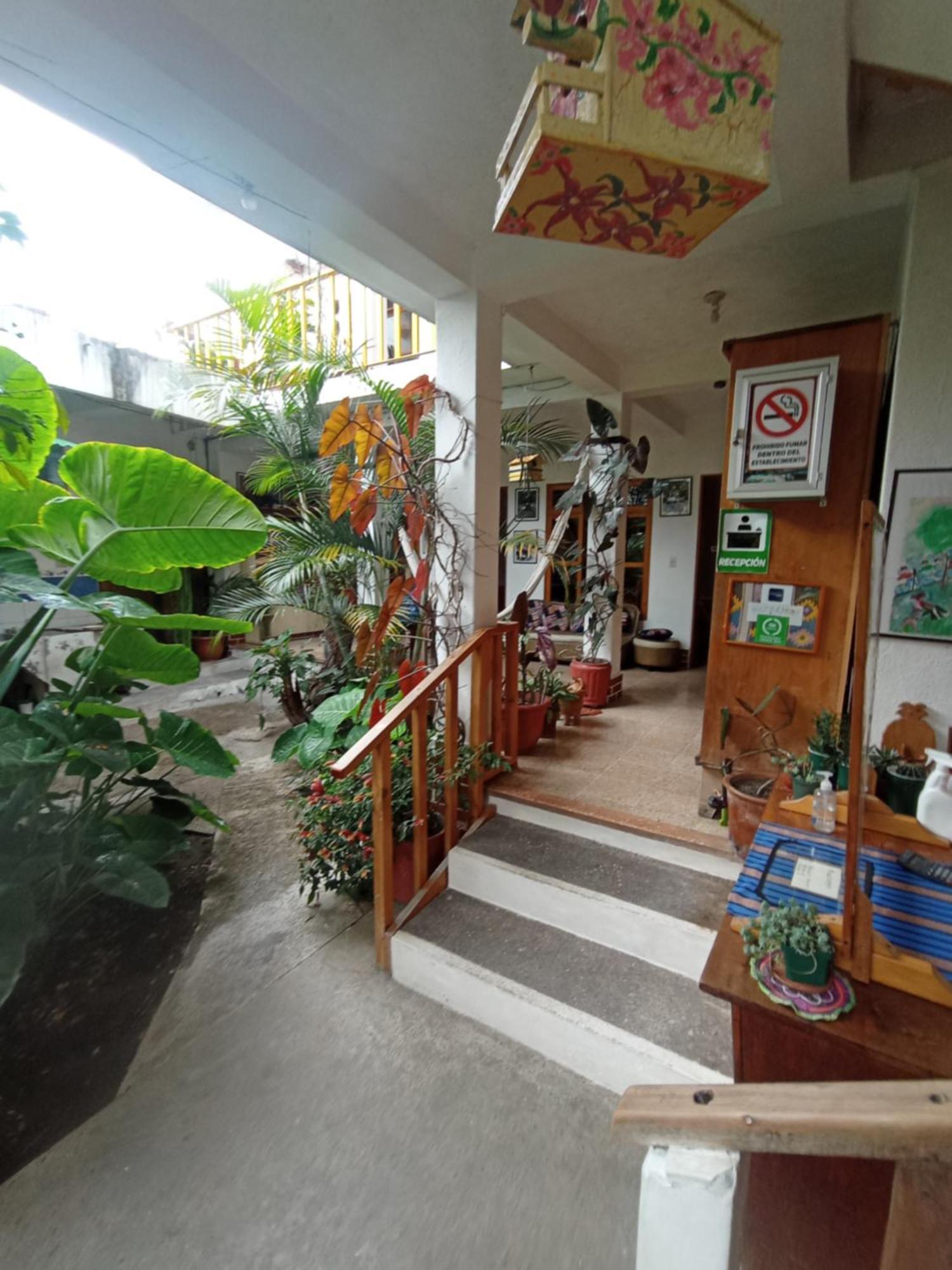 Hostal Mario'S Rooms ปานาคาเชล ภายนอก รูปภาพ